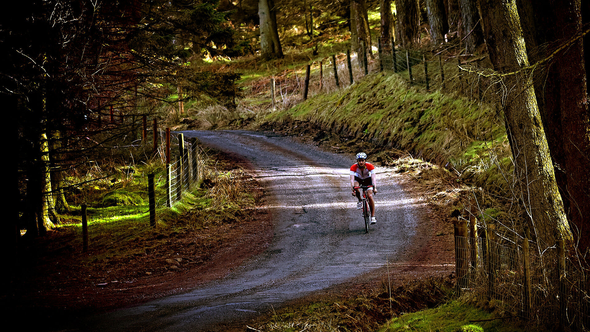 New cycling routes designated in TN, AR